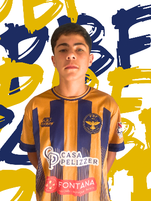 Matheus Todescatto