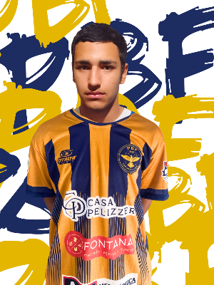 Miguel Teles